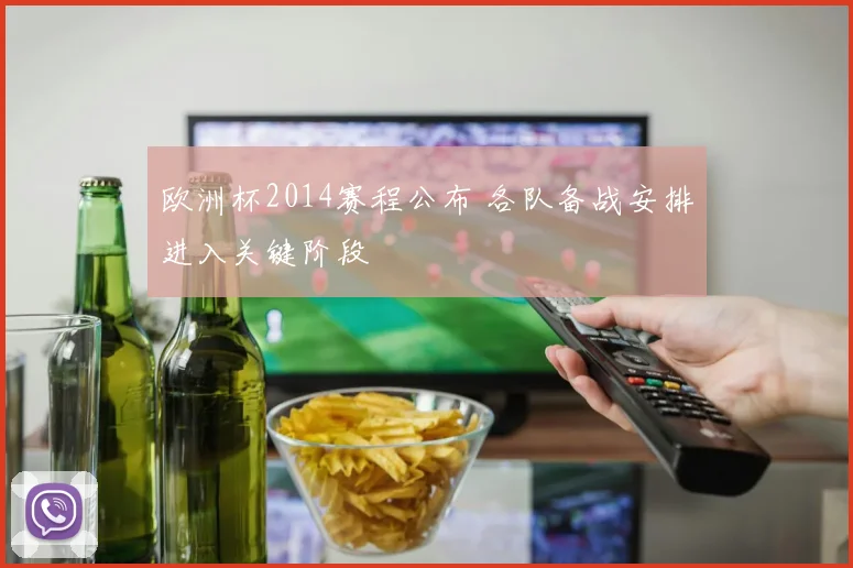 欧洲杯2014赛程公布 各队备战安排进入关键阶段