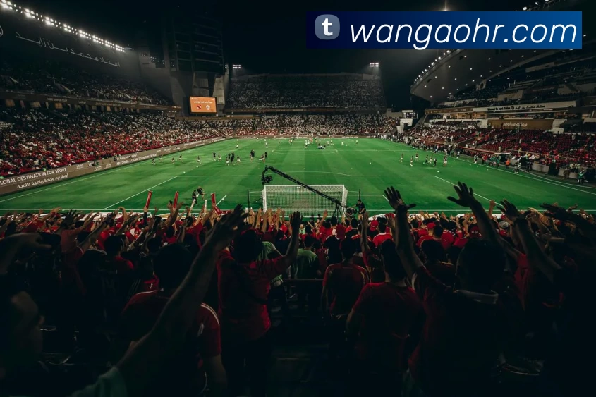 多媒体互动体验